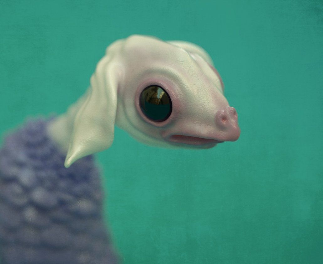 A pale lizard-like creature with big round eyes on a teal background
